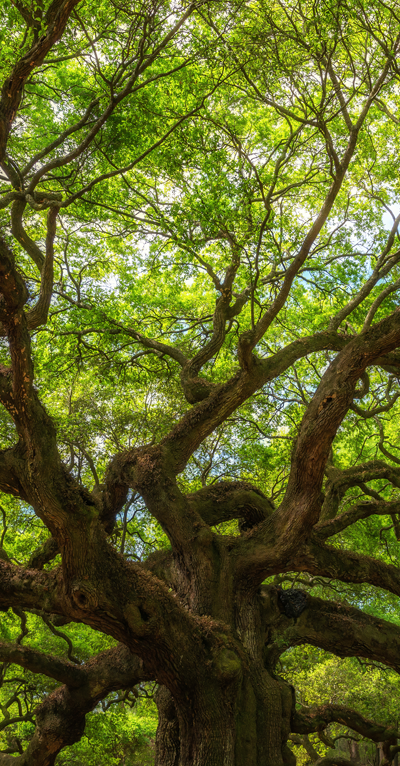 Communicatie portaal HCP